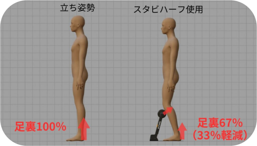 アルケリススタビハーフはスネで体重を分散して支えることで足腰への負荷を軽減する