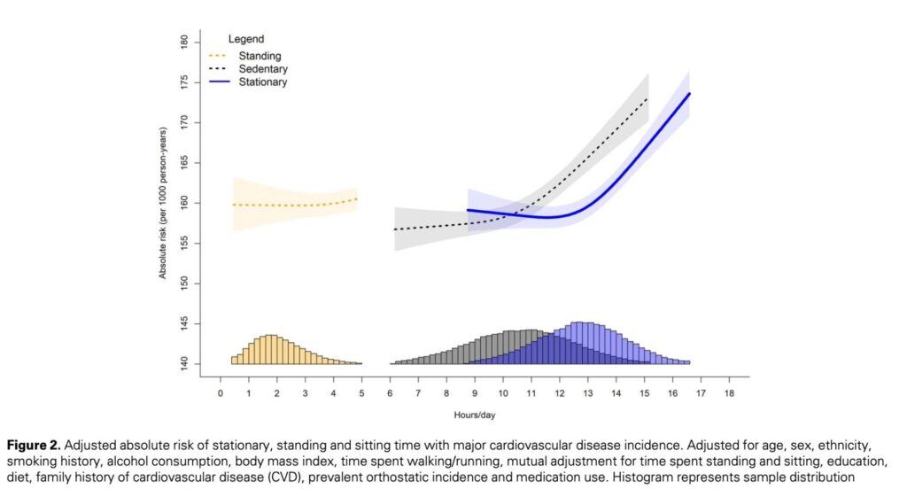 座位・立位・静止時間と主要な心血管疾患（CVD）発生率の調整済み絶対リスク