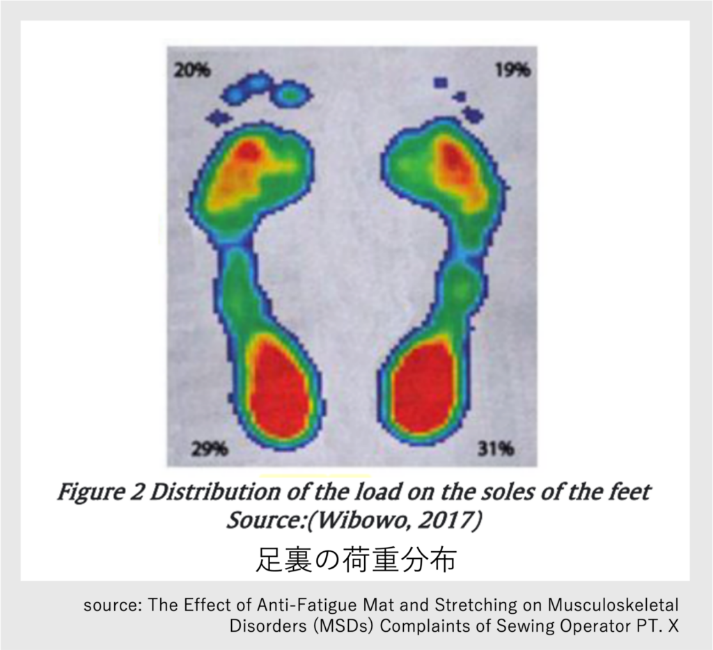 足裏荷重の圧力分布